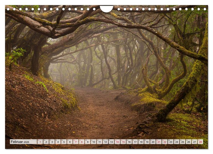 Produktbild: Die stille Magie der Insel Teneriffa (Wandkalender 2026 DIN A4 quer), CALVENDO Monatskalender