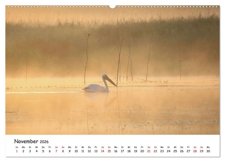 Produktbild: Eine Reise ins magische Donaudelta (Wandkalender 2026 DIN A2 quer), CALVENDO Monatskalender