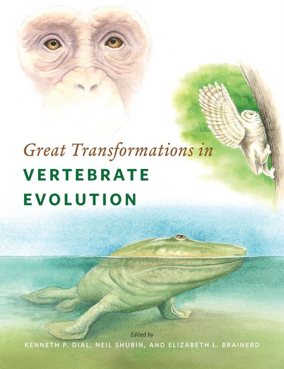 Produktbild: Great Transformations in Vertebrate Evolution