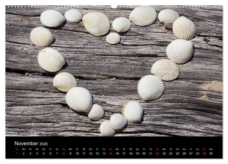 Produktbild: Strandgut und Meer 2026 (hochwertiger Premium Wandkalender 2026 DIN A2 quer), Kunstdruck in Hochglanz