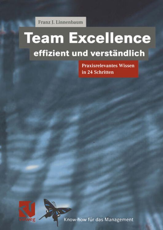 Produktbild: Team Excellence Effizient und Verst&auml;ndlich