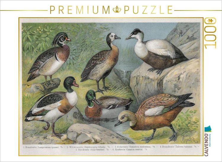 SUNSOUT INC – Last Queen – 1000 Teile Fantasy-Puzzle Von Künstlerin Nene Thomas – Fertige Größe 48,3 X 76,2 Cm – USA-Qualität – Umweltfreundlich & Nachhaltig SUNSOUT INC – Last Queen – 1000 Teile Fantasy-Puzzle Von Künstlerin Nene Thomas – Fertige Größe 48,3 X 76,2 Cm – USA-Qualität – Umweltfreundlich & Nachhaltig