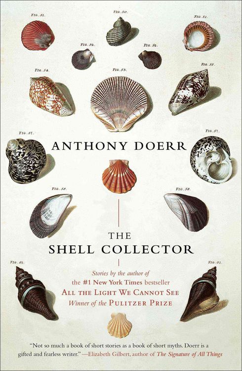 Produktbild: The Shell Collector