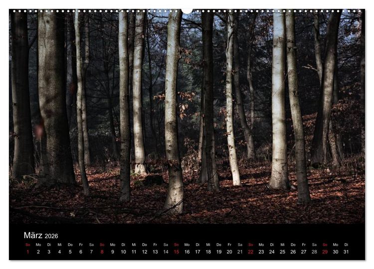 Produktbild: Mystische W&auml;lder (hochwertiger Premium Wandkalender 2026 DIN A2 quer), Kunstdruck in Hochglanz