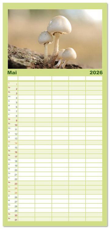 Produktbild: Familienplaner 2026 - Wundersame Pilzwelten mit 5 Spalten (Wandkalender, 21 x 45 cm) CALVENDO