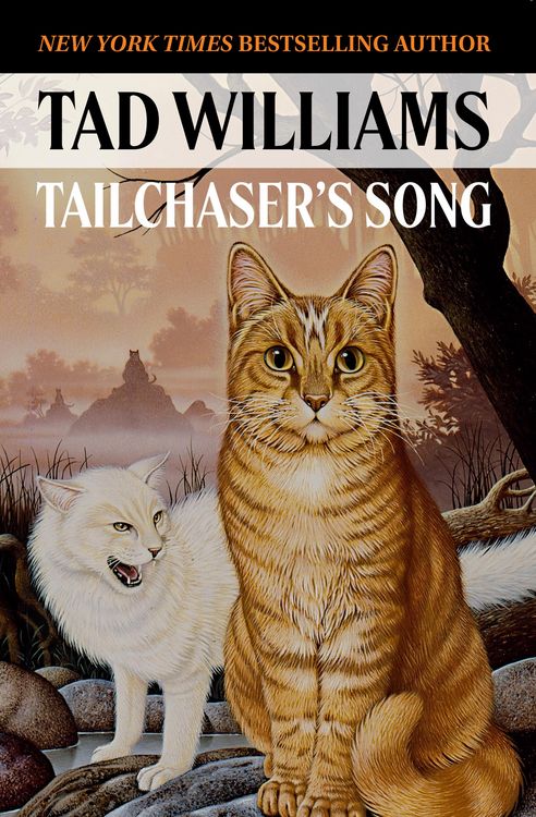 Produktbild: Tailchaser's Song