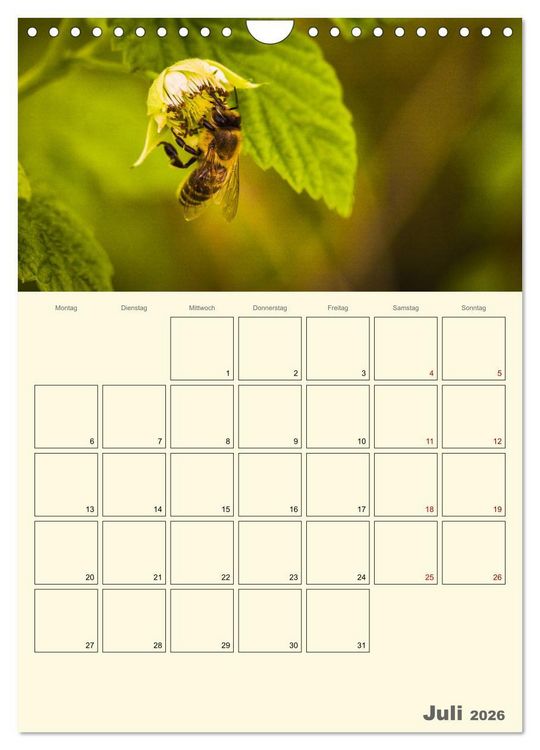 Produktbild: Bienen im Naturgarten (Wandkalender 2026 DIN A4 hoch), CALVENDO Monatskalender
