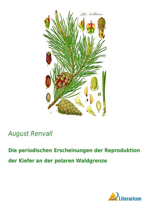 Produktbild: Die periodischen Erscheinungen der Reproduktion der Kiefer an der polaren Waldgrenze
