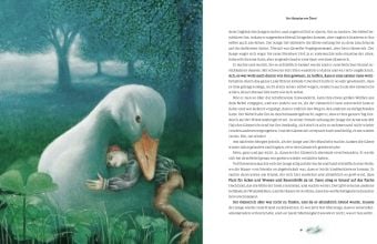 Produktbild: Die wunderbare Reise des Nils Holgersson mit den Wildg&auml;nsen