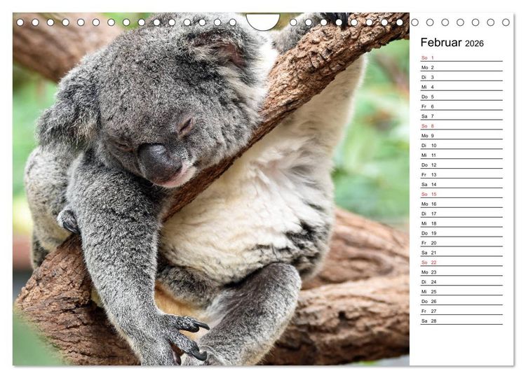 Produktbild: Das sch&ouml;ne Australien (Wandkalender 2026 DIN A4 quer), CALVENDO Monatskalender