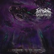Produktbild: Ascending to the Worms