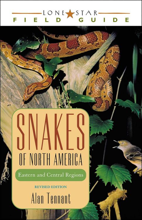 Produktbild: Snakes of North America