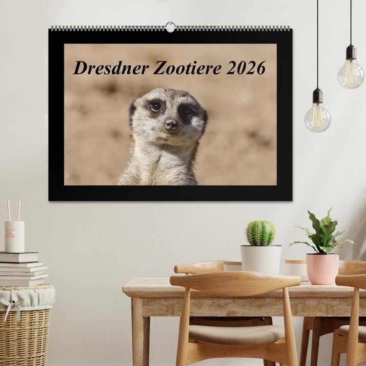 Produktbild: Dresdner Zootiere 2026 (Wandkalender 2026 DIN A2 quer), CALVENDO Monatskalender