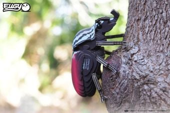 Produktbild: EUGY - 3D Bastelset Goliathk&auml;fer