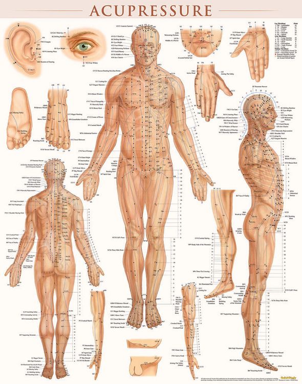 Produktbild: Acupressure-Laminated
