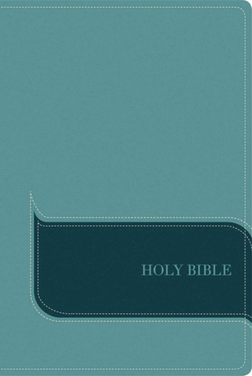 Produktbild: Niv Understand The Faith Study