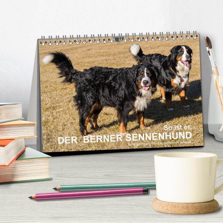 Produktbild: So ist er. Der Berner Sennenhund (Tischkalender 2026 DIN A5 quer), CALVENDO Monatskalender