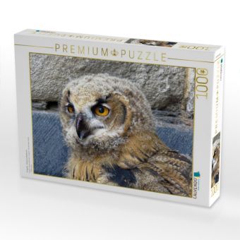 Produktbild: CALVENDO Puzzle Junguhu - Kassel-Lutherturm | 1000 Teile Lege-Gr&ouml;&szlig;e 64x48cm Foto-Puzzle f&uuml;r gl&uuml;ckliche Stunden