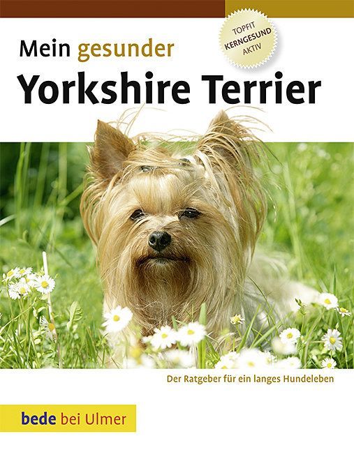 Produktbild: Mein gesunder Yorkshire Terrier