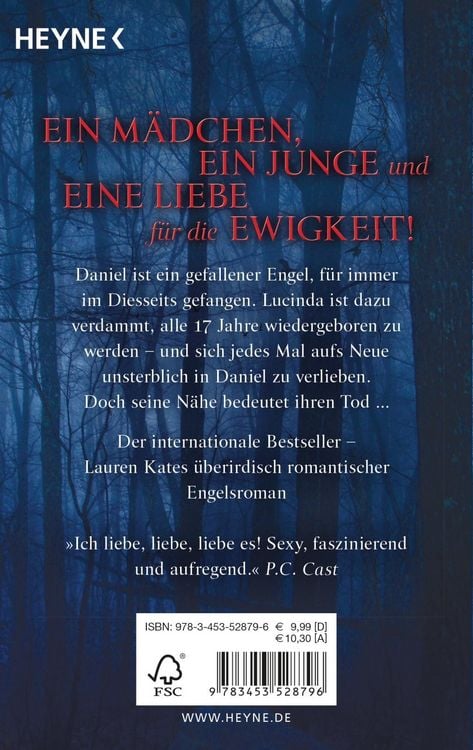 Produktbild: Engelsnacht/ Fallen Band 1