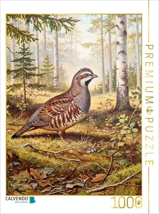 Produktbild: CALVENDO Puzzle Birkhuhn - seltener Vogel als Gem&auml;lde | 1000 Teile Lege-Gr&ouml;&szlig;e 64x48cm Foto-Puzzle f&uuml;r gl&uuml;ckliche Stunden