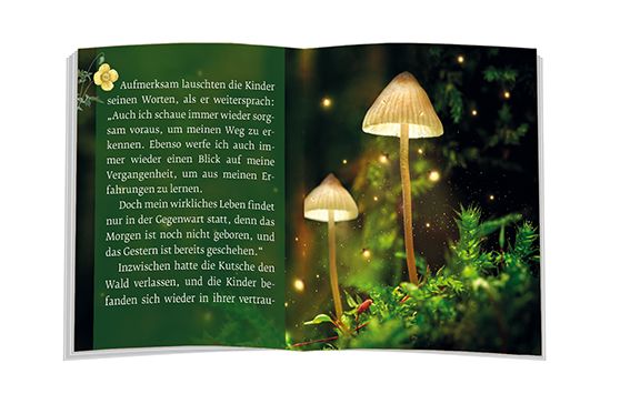 Produktbild: Das M&auml;rchen vom Gl&uuml;ck des Augenblicks