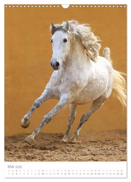 Produktbild: Caballos - Die sch&ouml;nen Pferde Spaniens (Wandkalender 2026 DIN A3 hoch), CALVENDO Monatskalender