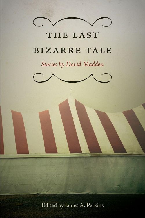 Produktbild: The Last Bizarre Tale