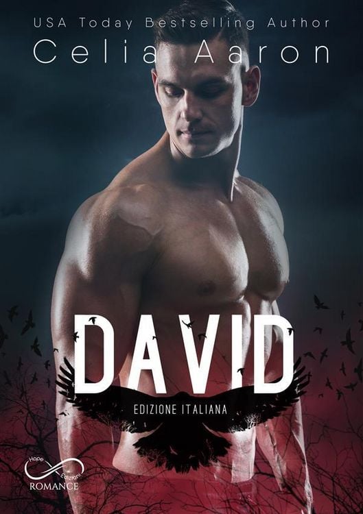 Produktbild: David
