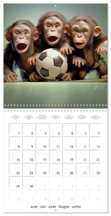 Produktbild: Kicking baby monkeys (Wall Calendar 2026 12 &times; 12 Inch) CALVENDO 12 Month Wall Calendar