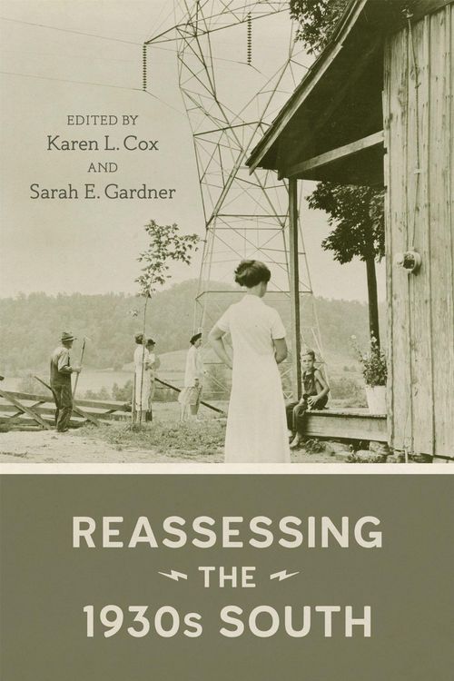 Produktbild: Reassessing the 1930s South