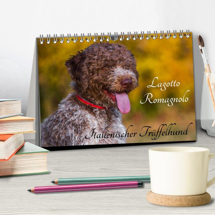 Produktbild: Lagotto Romagnolo - Italienischer Tr&uuml;ffelhund (Tischkalender 2026 DIN A5 quer), CALVENDO Monatskalender