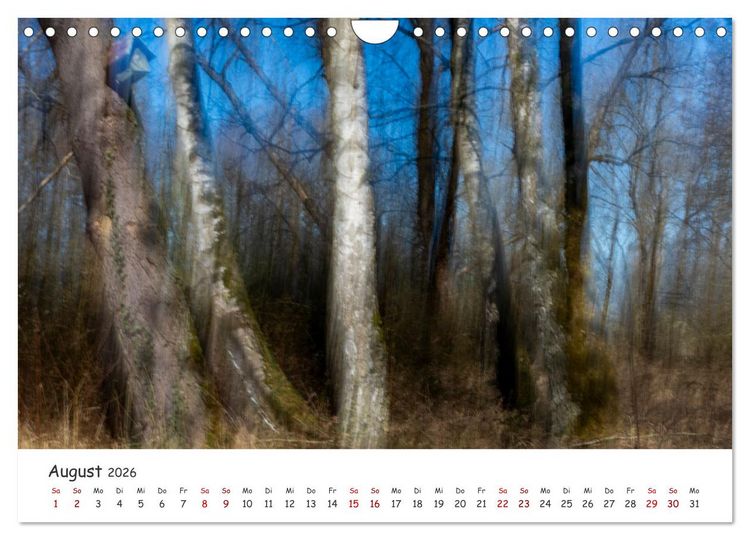 Produktbild: Abstrakte Naturerlebnisse - ICM (Intentional Camera Movement) Fotografie (Wandkalender 2026 DIN A4 quer), CALVENDO Monatskalender