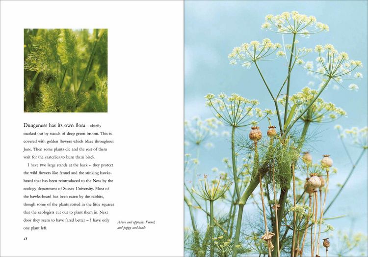 Produktbild: Derek Jarman's Garden
