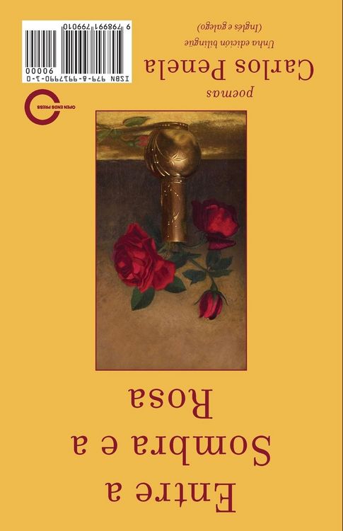 Produktbild: Between the Shadow and the Rose. Selected poems 2001-2024
