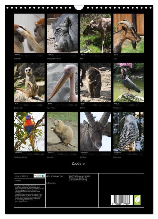 Produktbild: Zootiere (Wandkalender 2026 DIN A3 hoch), CALVENDO Monatskalender