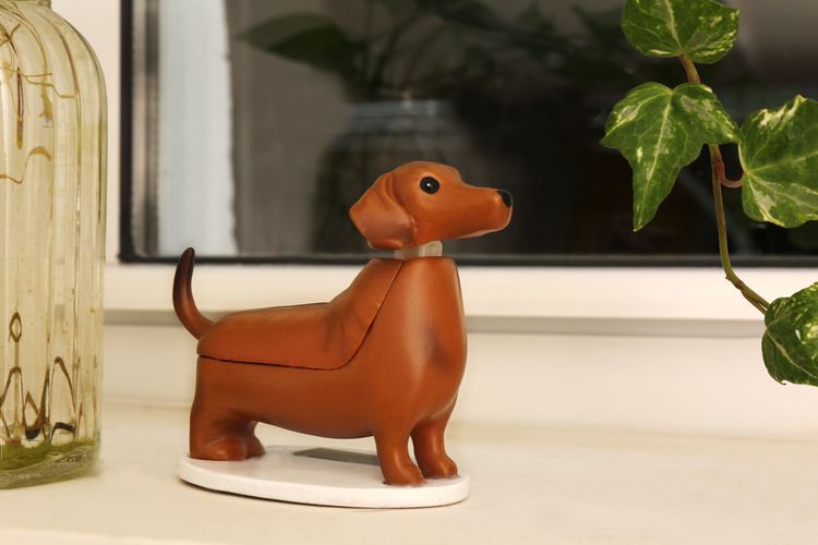 Solar Dashund - Boudewijn