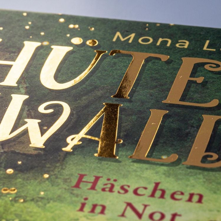 Produktbild: H&uuml;terin des Waldes 2: H&auml;schen in Not
