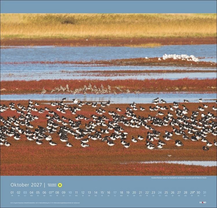 Produktbild: Nationalpark Wattenmeer Edition Kalender 2027 - Martin Stock