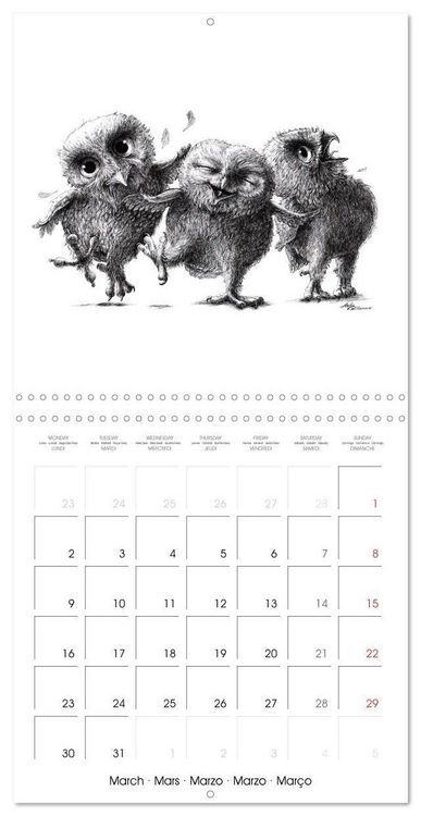Produktbild: owls and mates 2026 (Wall Calendar 2026 12 &times; 12 Inch) CALVENDO 12 Month Wall Calendar