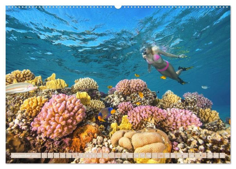 Produktbild: Die Malediven: Fluchtpunkt Sehnsucht (Wandkalender 2026 DIN A2 quer), CALVENDO Monatskalender