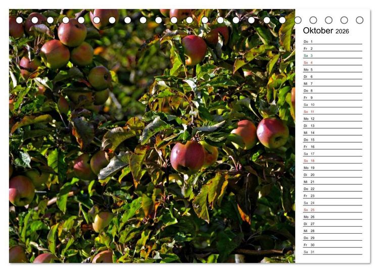 Produktbild: Landschaften des Kraichgaus (Tischkalender 2026 DIN A5 quer), CALVENDO Monatskalender