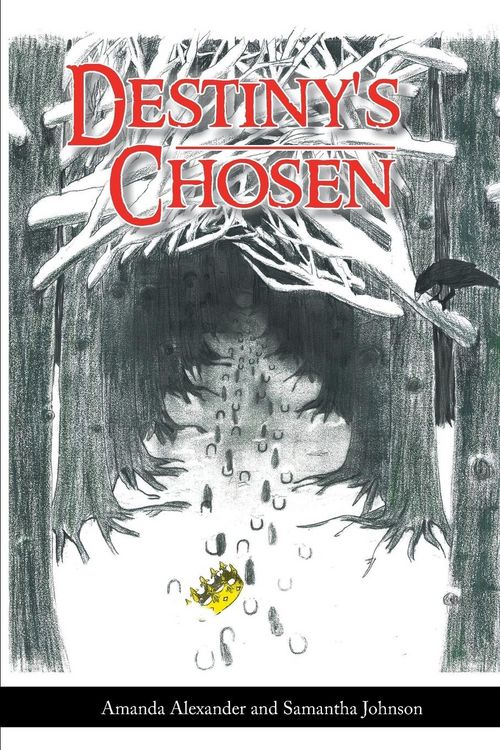Produktbild: Destiny's Chosen