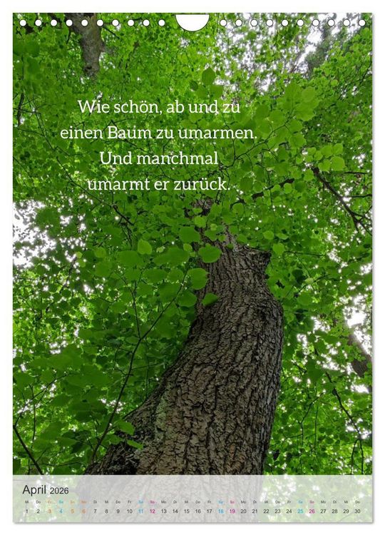 Produktbild: Manchmal - Poetische Momentaufnahmen (Wandkalender 2026 DIN A4 hoch), CALVENDO Monatskalender