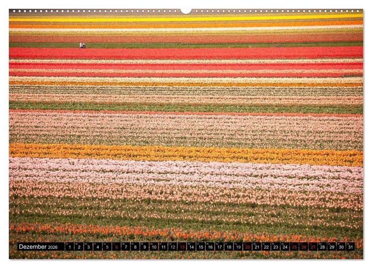 Produktbild: Tulpen (hochwertiger Premium Wandkalender 2026 DIN A2 quer), Kunstdruck in Hochglanz