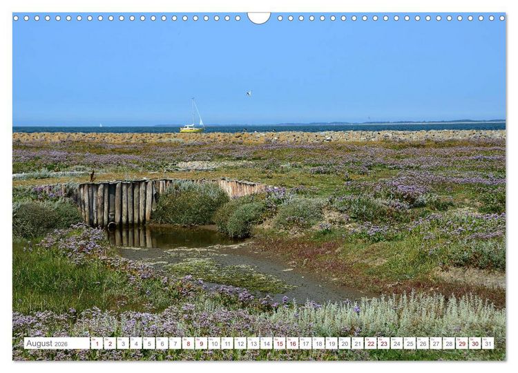 Produktbild: Sommertage auf Langeness (Wandkalender 2026 DIN A3 quer), CALVENDO Monatskalender