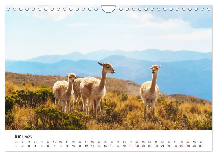 Produktbild: Argentinien - vielseitig und kontrastreich (Wandkalender 2026 DIN A4 quer), CALVENDO Monatskalender