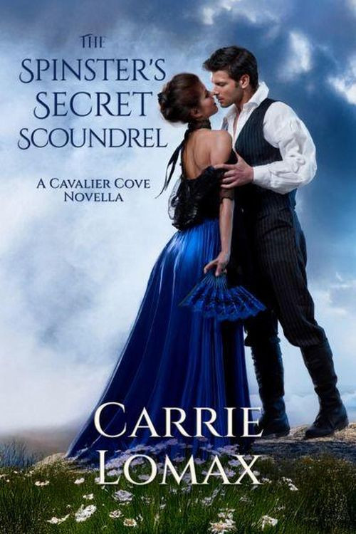 Produktbild: The Spinster's Secret Scoundrel