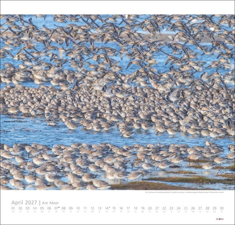 Produktbild: Am Meer Edition Kalender 2027 - Sand, Wind und Wellen