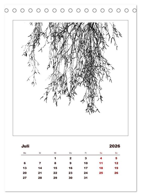Produktbild: LignoGrafica - Muster und Strukturen der B&auml;ume (Tischkalender 2026 DIN A5 hoch), CALVENDO Monatskalender